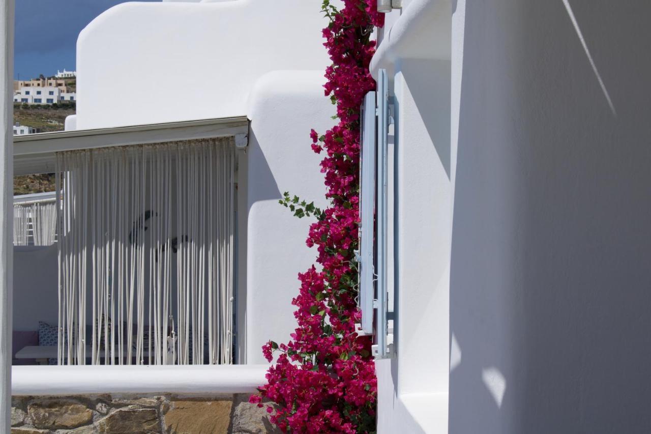 Paradisia Villa *